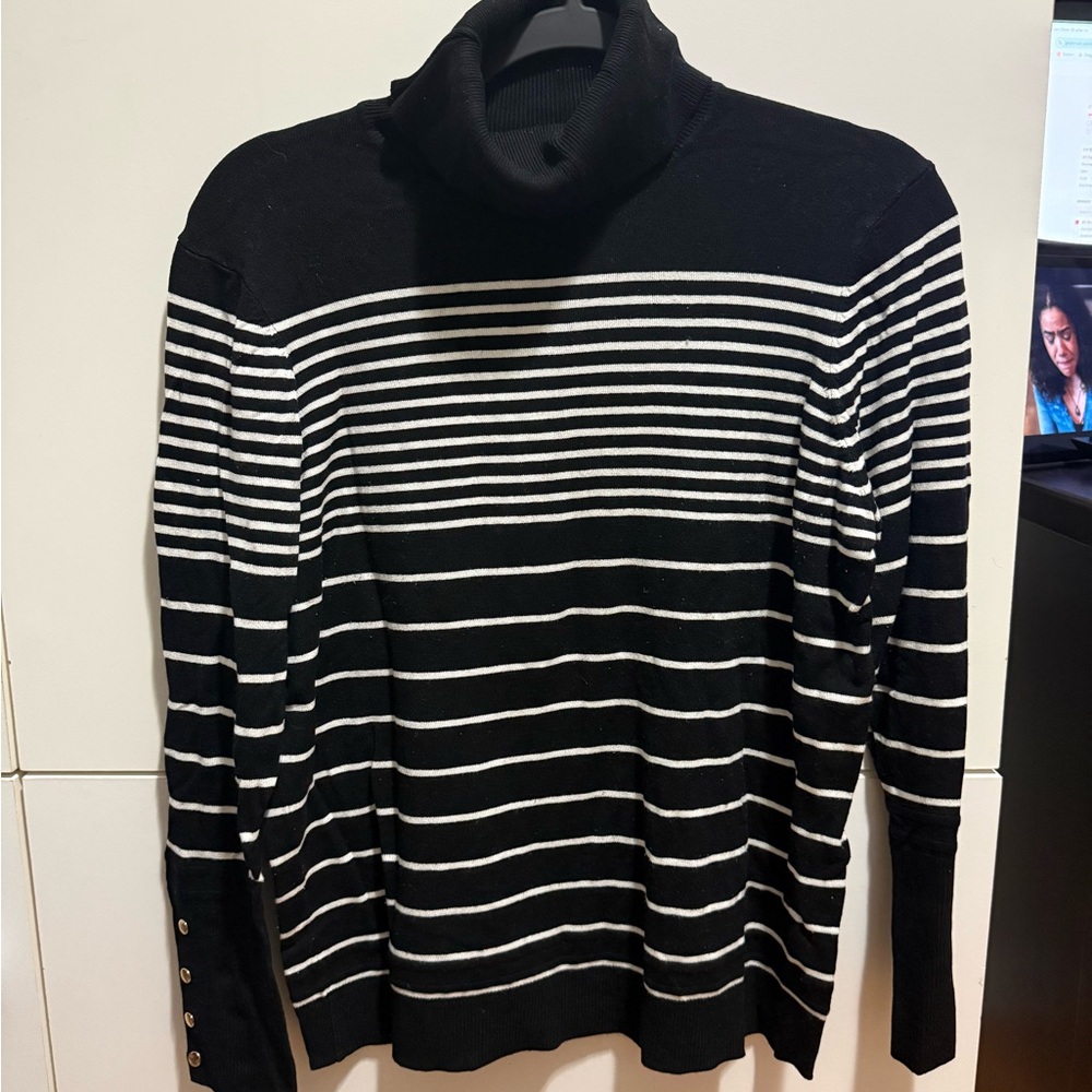 cleo Black and White Striped Turtleneck Sweater - Men's